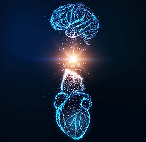 CERVEAU-1536x1140.jpg